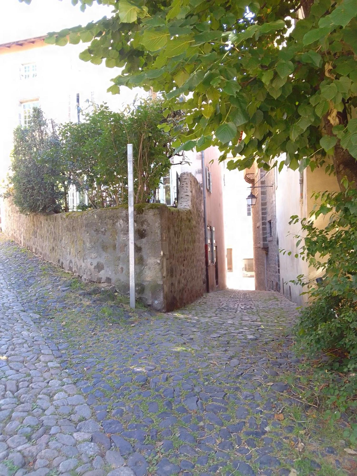 Le Relax Max Apartman Le Puy-en-Velay Szoba fotó